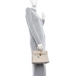 Togo Birkin 25 Beton - Image 2