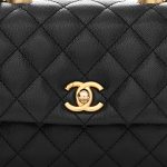 Caviar Lizard Embossed Quilted Mini Coco Handle Flap Black - Image 5