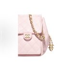 Chanel 25 Hobo Bag - Image 4