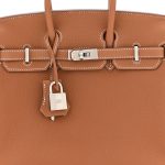 Togo Birkin 25 Gold - Image 7
